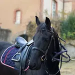 24h Le Mans Chateau De Lauresse D'hotes Luxe, Avec Services בית הארחה
