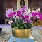 24h Le Mans Chateau De Lauresse D'hotes Luxe, Avec Services בית הארחה