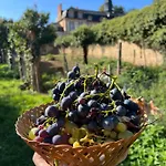בית הארחה 24h Le Mans Chateau De Lauresse D'hotes Luxe, Avec Services