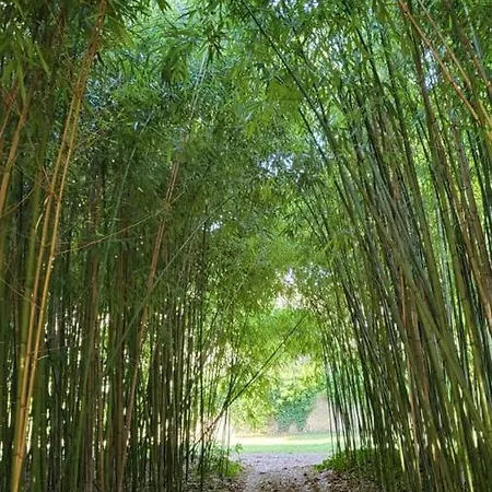 Konukevi 24h Le Mans Chateau De Lauresse D'hotes Luxe