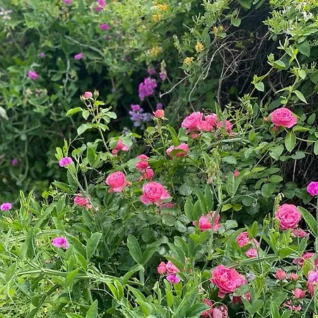 24h Le Mans Chateau De Lauresse D'hotes Luxe Konukevi