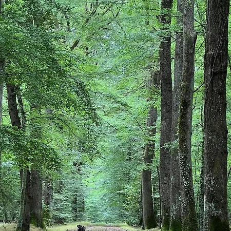 24h Le Mans Chateau De Lauresse D'hotes Luxe Lombron