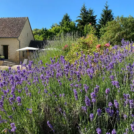 24h Le Mans Chateau De Lauresse D'hotes Luxe Lombron