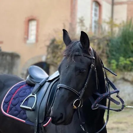 24h Le Mans Chateau De Lauresse D'hotes Luxe, Avec Services 招待所