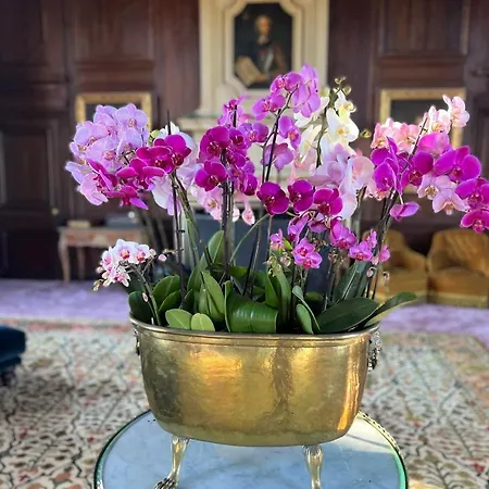 24h Le Mans Chateau De Lauresse D'hotes Luxe Konukevi