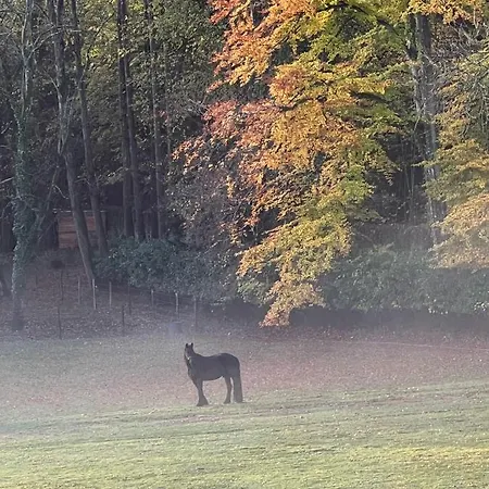 24h Le Mans Chateau De Lauresse D'hotes Luxe Gasthof Lombron