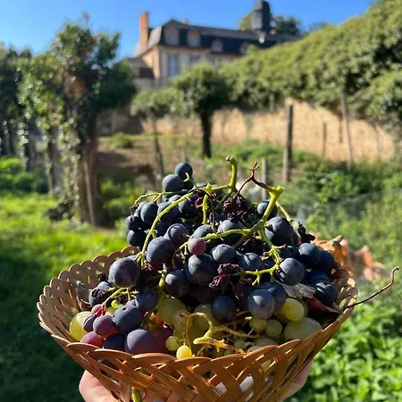 Konukevi 24h Le Mans Chateau De Lauresse D'hotes Luxe