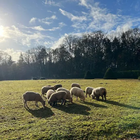 Konukevi 24h Le Mans Chateau De Lauresse D'hotes Luxe Lombron