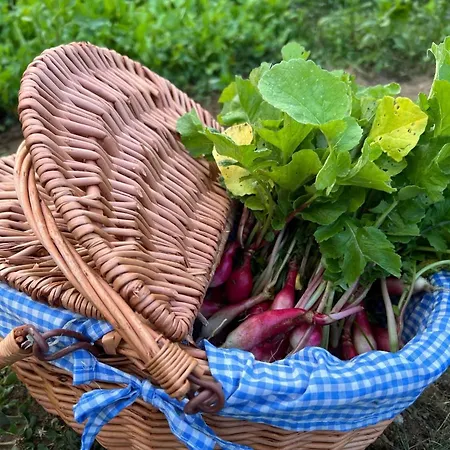 24h Le Mans Chateau De Lauresse D'hotes Luxe