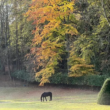 24h Le Mans Chateau De Lauresse D'hotes Luxe Guest house