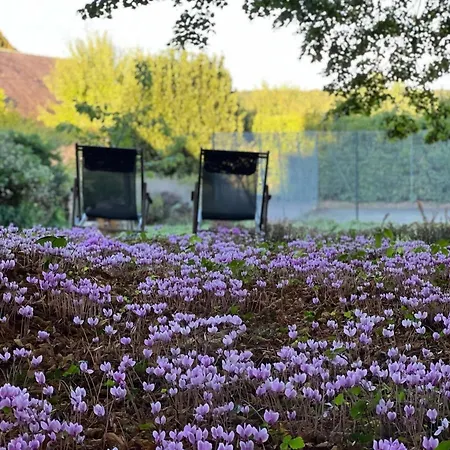 24h Le Mans Chateau De Lauresse D'hotes Luxe * Lombron