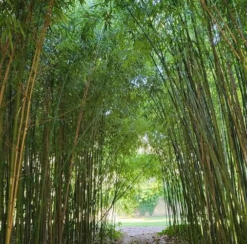 招待所 24h Le Mans Chateau De Lauresse D'hotes Luxe, Avec Services