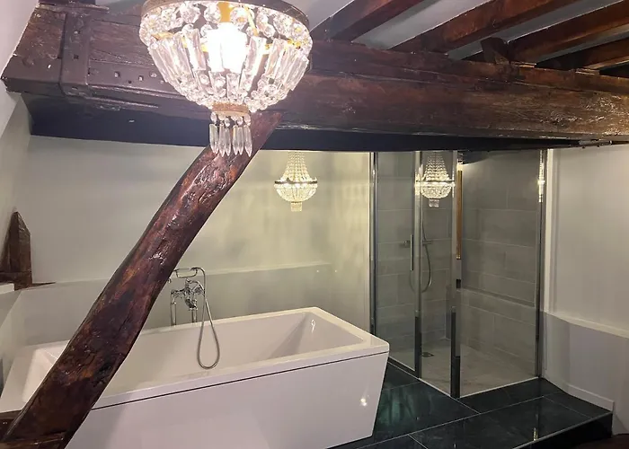 招待所 24h Le Mans Chateau De Lauresse D'hotes Luxe, Avec Services 4*